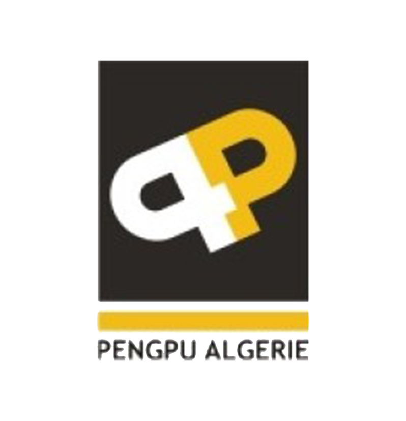 Logo SARL PENG PU